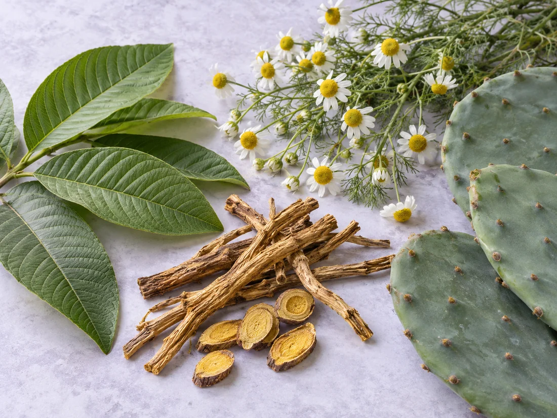 The four botanicals together
